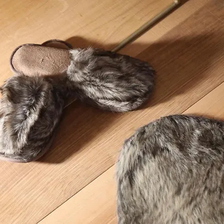 公寓 Petit Blanc Cervinia 布勒伊-切尔维尼亚