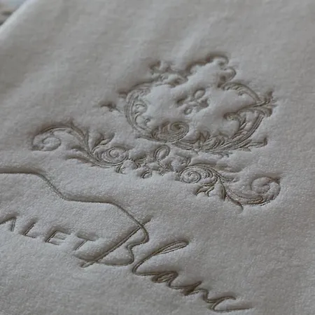 公寓 Petit Blanc Cervinia 布勒伊-切尔维尼亚